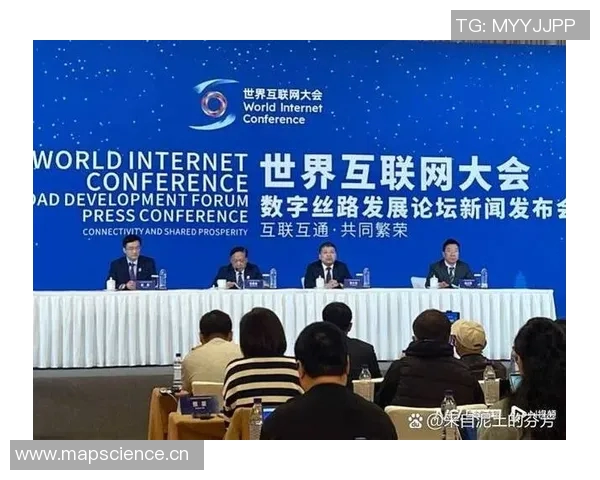 武汉飞盘队运营分析：成功经验与面临挑战的全面探讨